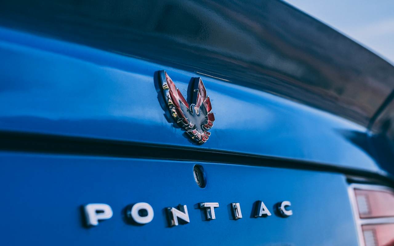 Pontiac (Adobe Stock)