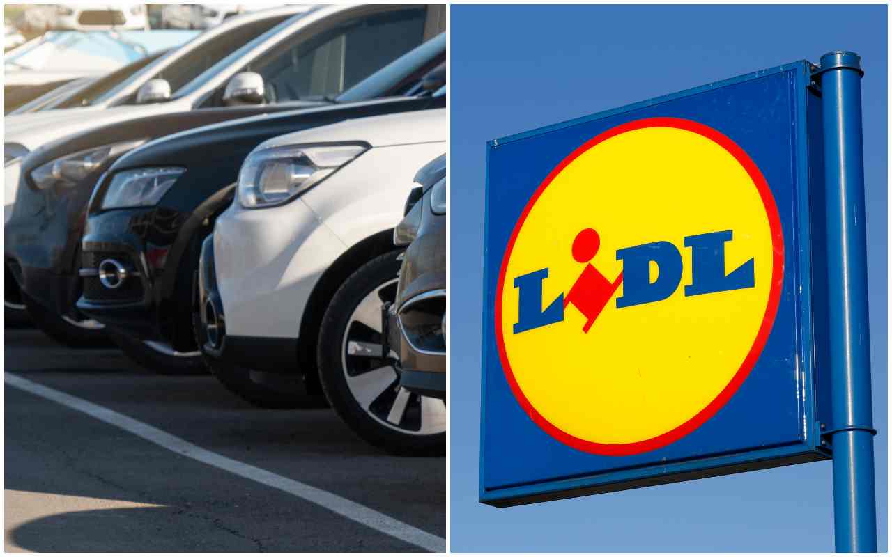 Lidl (AdobeStock)