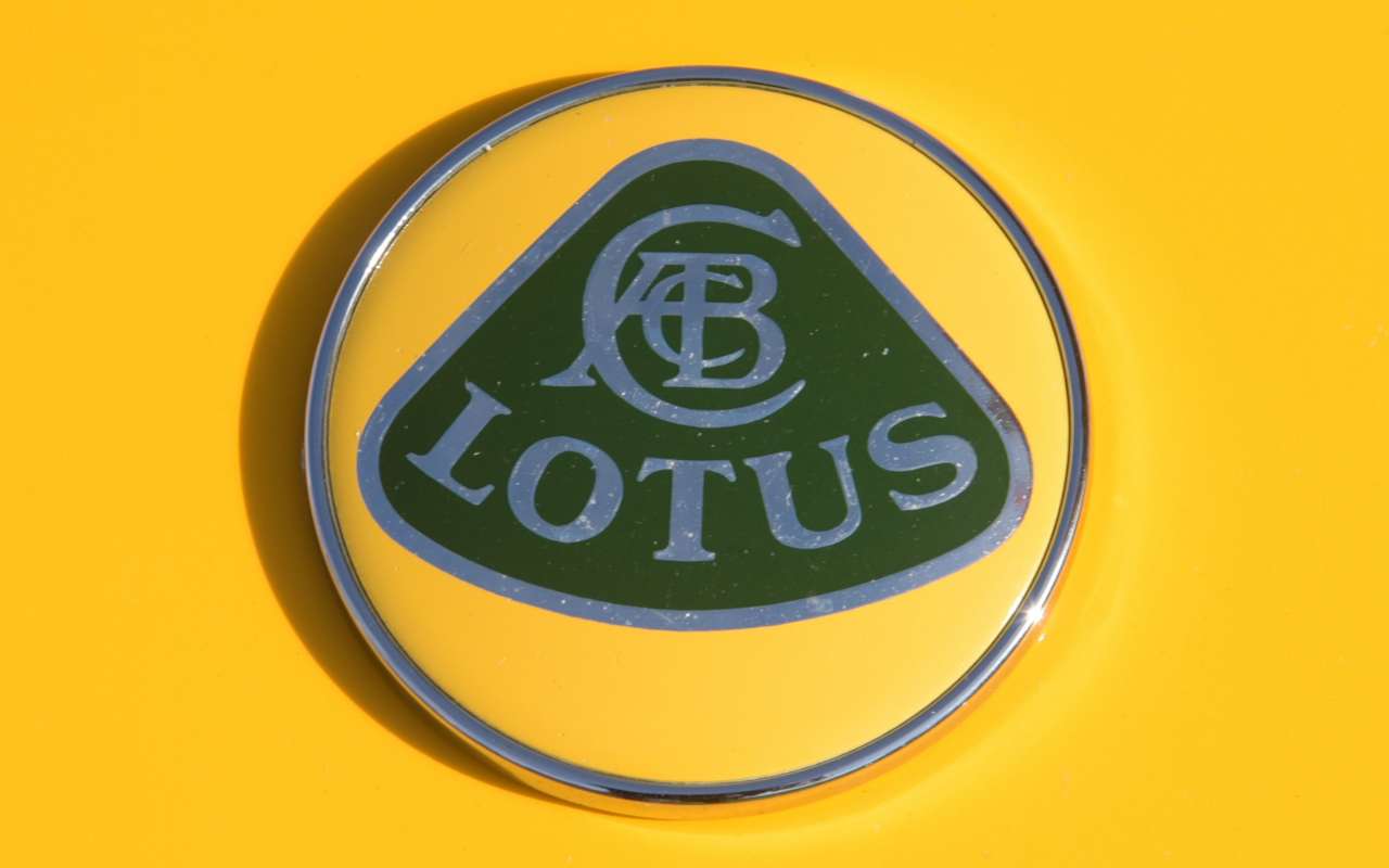 Lotus (AdobeStock)