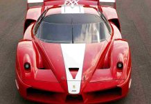 Ferrari FXX (Ansa Foto)