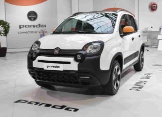 Panda (ANSA)