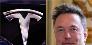 Tesla ecco la più economica