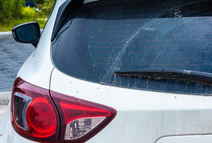 Avete mai notato le righe nere sul lunotto posteriore delle vostre auto? 